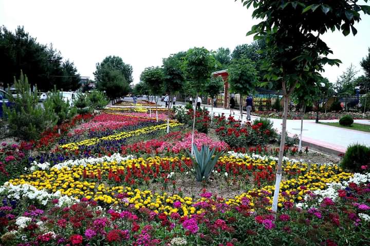 В Узбекистане проходит фестиваль цветов