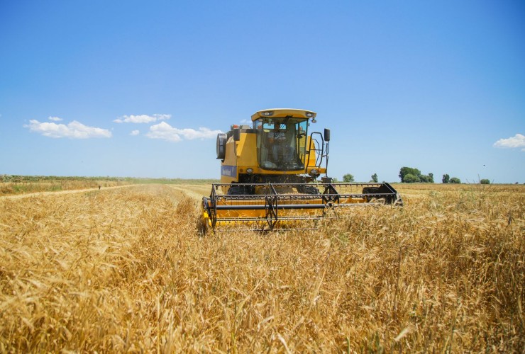 Минсельхоз: В стране сформированы запасы пшеницы